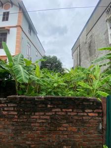 ĐÔNG DƯ- NGÕ THÔNG - GẦN HỒ ĐIỀU HOÀ 160m2 mặt tiền 8m